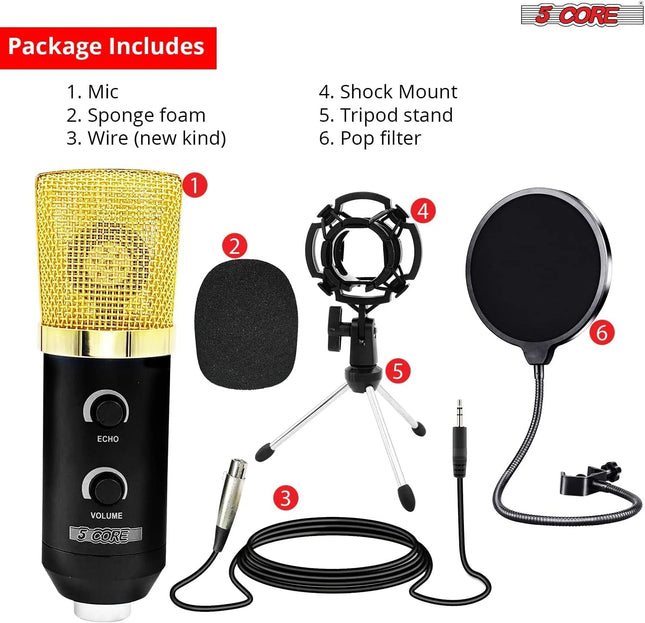 5 Core Condenser Studio Recording Kit
